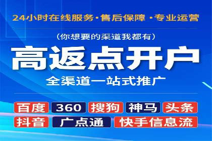 SEM广告投放的竞价策略与效果评估案例