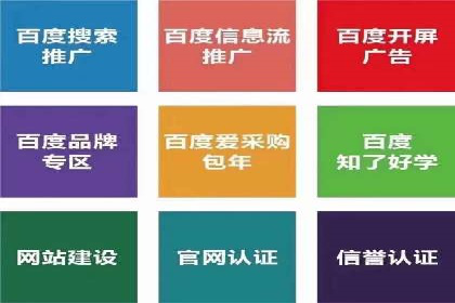 百度推广成功案例解析：品牌知名度飙升